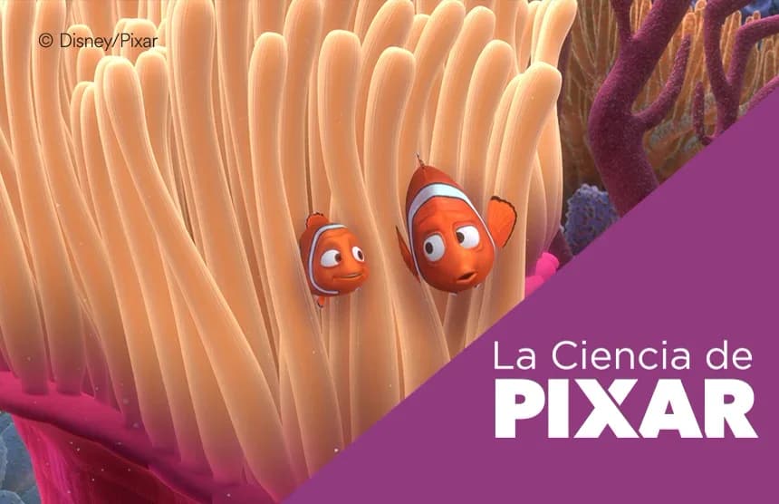 [Museos] Visita en familia, los secretos de Pixar