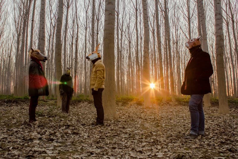 Centro Cívico Joaquín Carbonell (Casetas)