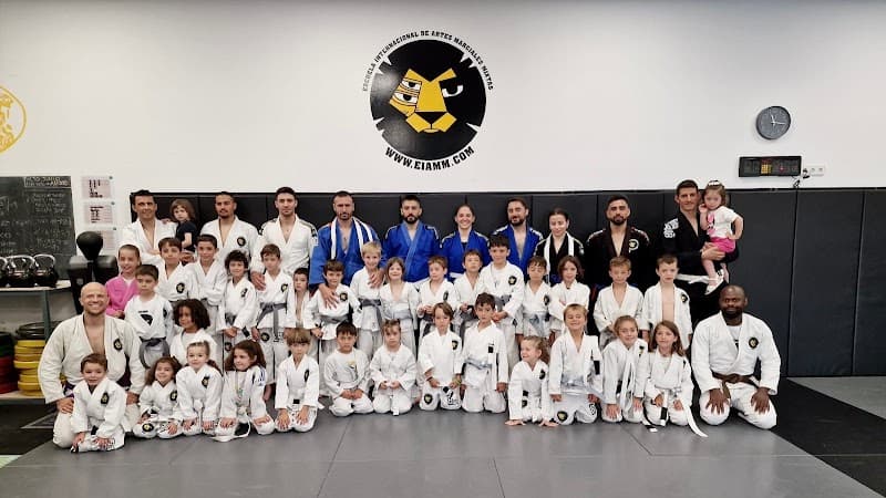 Escuela Internacional de Artes Marciales Mixtas