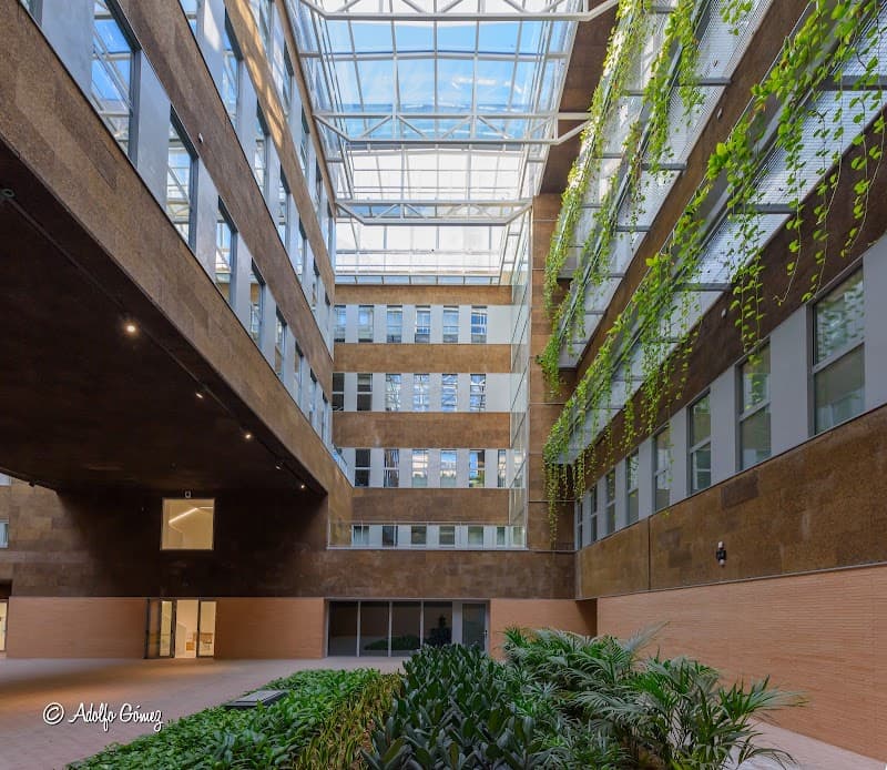 Facultad de Filosofía y Letras