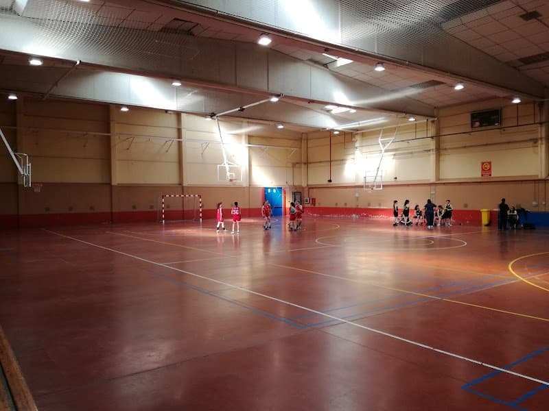 Pabellón Multiusos Montañana