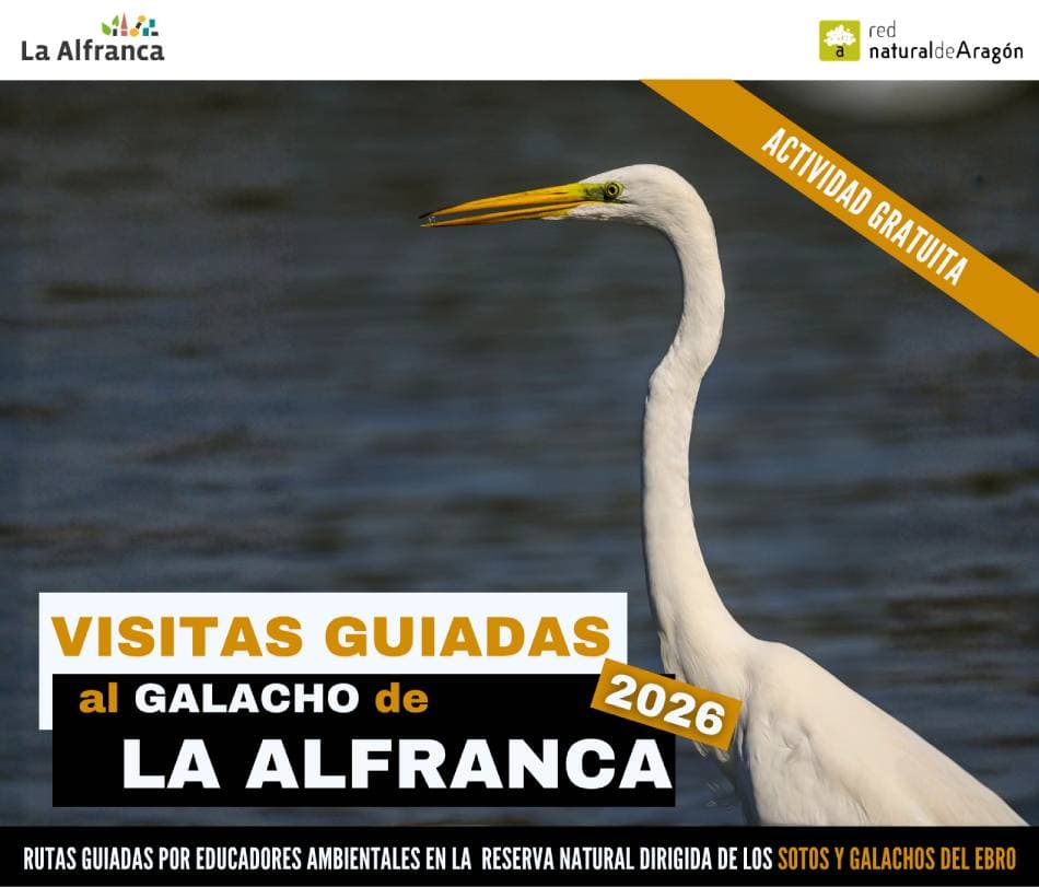 Visitas guiadas al Galacho de La Alfranca