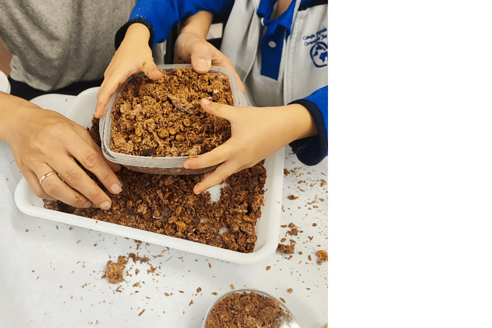Micelio: Creando con la Naturaleza
