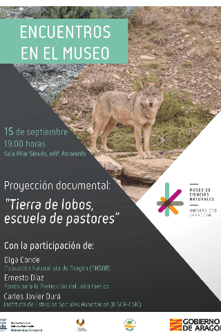 Encuentros en el Museo: Proyección documental "Tierra de lobos, escuela de pastores"