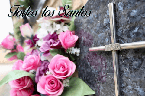 «Aquí dejo mi miedo», el Cementerio de Miedos de Torrero