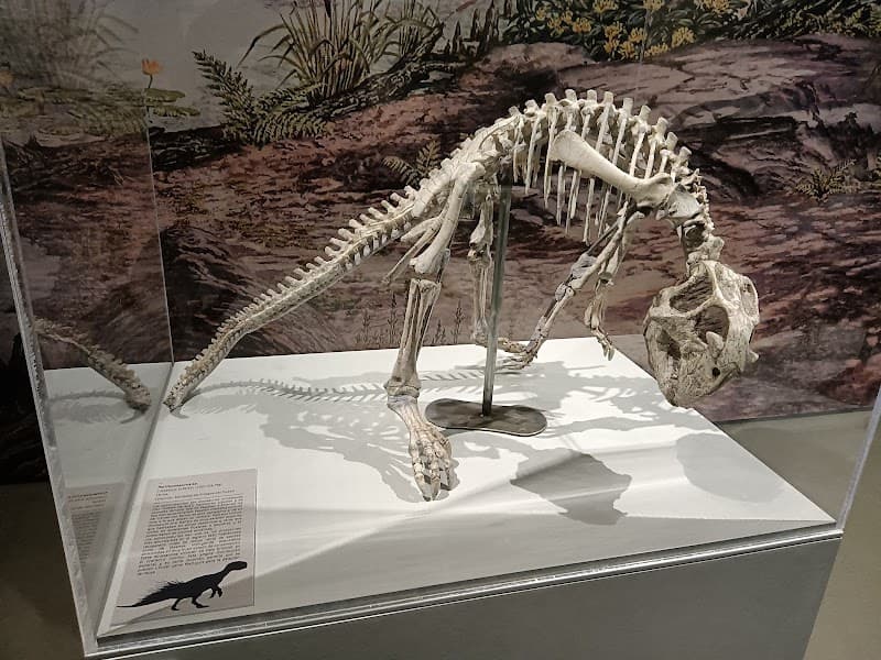 Museo de Ciencias Naturales de la Universidad de Zaragoza
