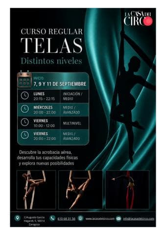 Curso Regular de Acrobacia Aérea (Telas)