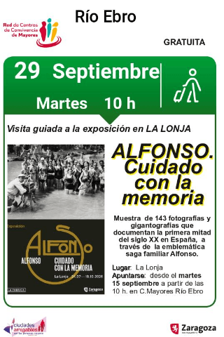 Visita guiada a la exposición en la Lonja " Alfonso. Cuidado con la memoria"