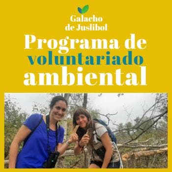 Voluntariado ambiental en el Galacho de Juslibol